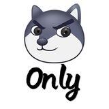 免费社工库机器人 – OnlySGK