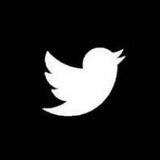 @twitterdlrobot