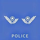 人工付费查档双向bot