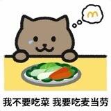 打飞机都不伤害女孩
