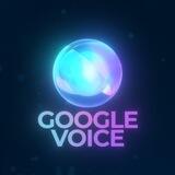 Google Voice Bot [ Online ]