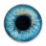 Глаз Цукера 👁