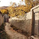 کوچه به کوچه