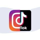 بوت تحميل انستا + تيك توك