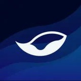 Orca VIP Membership