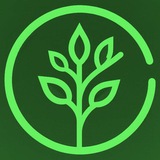CodeTwig (beta)
