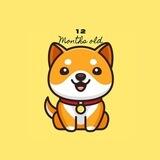 🐶babydogecoin Collect🐶