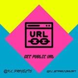 ⚡️ Get Public URL ⚡️