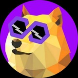 PolyDoge Airdrop