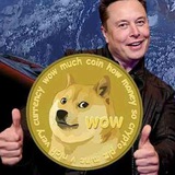 Dogecoin Network