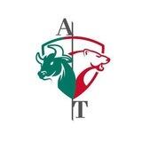 AUTOMATIZA TU TRADING ⚡️🔥⌨