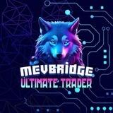 Mevbridge Global Community