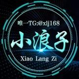 小浪子双向机器人