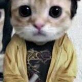 S Uploader