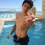 novinho_bot