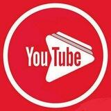 Crazy Youtube Bot