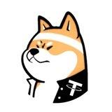 USDT Dog