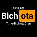 🔥 Bichota Aportes 🔥