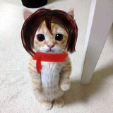 :]