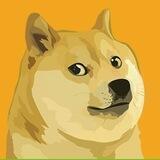 DOGE Claim Pay