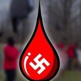 BloodTribe Vetting