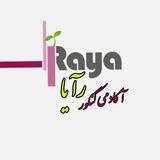 ✨ Raya academy 🌱