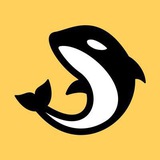 Orca Airdrop Bot