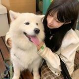 琪少代收双向机器人