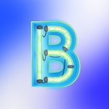 BurkPremium