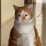 eugene