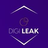 Crypto Leaks