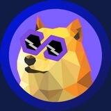 PolyDoge High Reward V2🚀