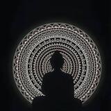 神财双向机器人