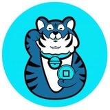 DTigerinu Airdrop