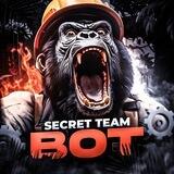 Secret Team 🦍
