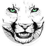 Meta Panthers Bot