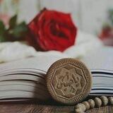 Baqiralsaayd95