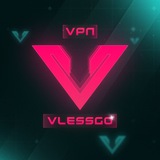 VlessGo VPN