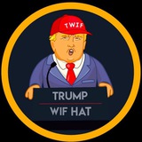 TWIF_choice