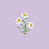 بريد | يَـاء💕