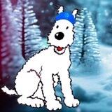 Injective Snowy Airdrop