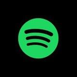 Spotify Search