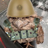 Zetnik_CCO