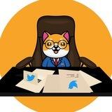 BabyDoge CEO @AIRDROP