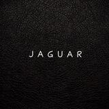 J A G U A R