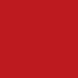 Scam Verificator