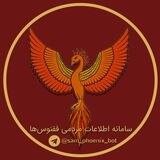 ربات سامانه اطلاعات مردمی ققنوس ها