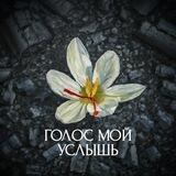 Голос мой услышь