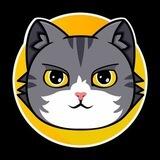 Catcoin @AIRDROP