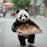 PANDA🍕